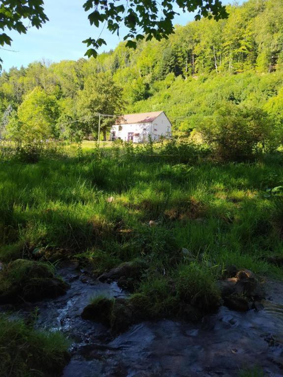 Apartamento Le Logis Aux Digitales La Croix-aux-Mines Exterior foto