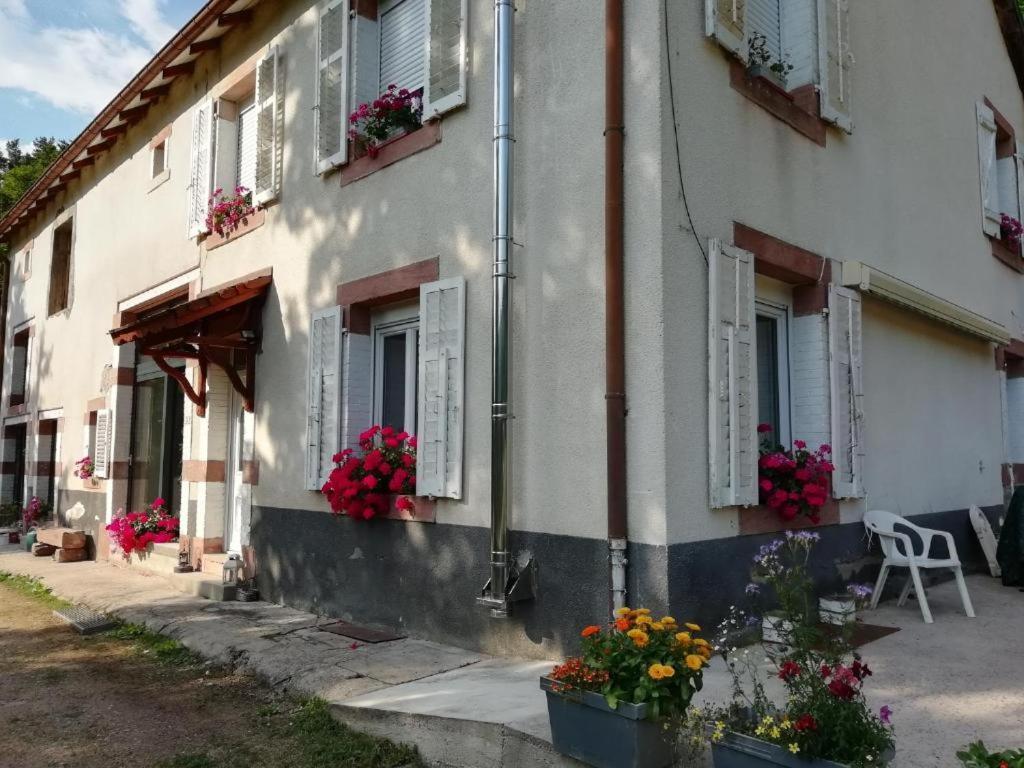 Apartamento Le Logis Aux Digitales La Croix-aux-Mines Exterior foto