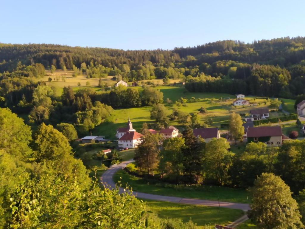 Apartamento Le Logis Aux Digitales La Croix-aux-Mines Exterior foto