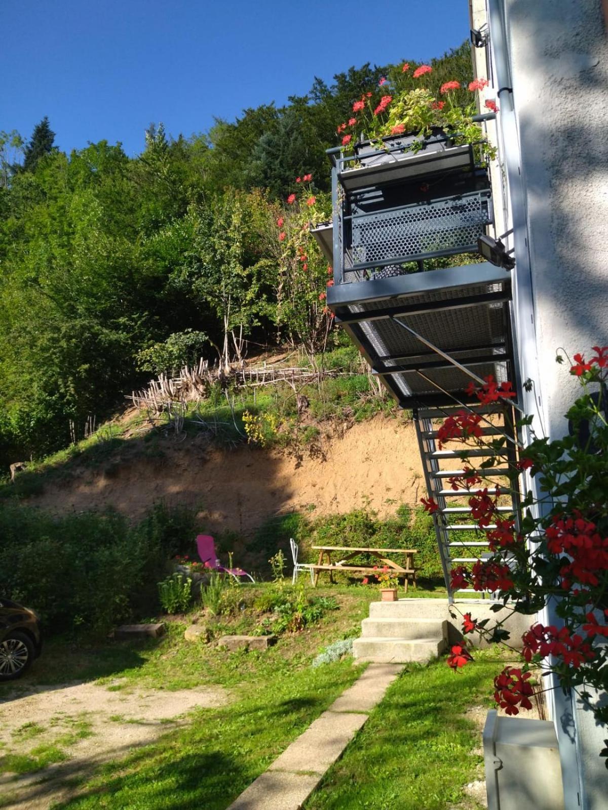 Apartamento Le Logis Aux Digitales La Croix-aux-Mines Exterior foto
